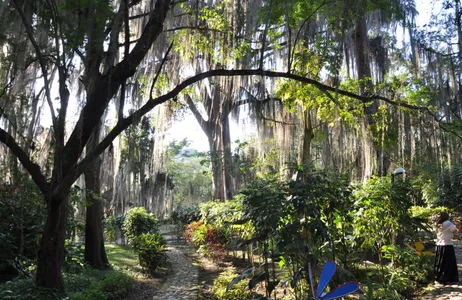 Bucaramanga Tour Adventure tour in San Gil (Bucaramanga)