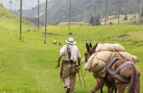 Armênia Tour Cócora Valley and Salento in Quindío (Armenia-Coffee Axis)