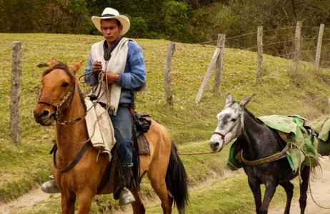 Manizales Tour Tour de Filandia, Vale de Cocora y Salento en Quindío (Manizales - Eje Cafetero)