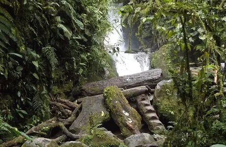 Quito Tour Excursão de dia inteiro à vila de Mindo