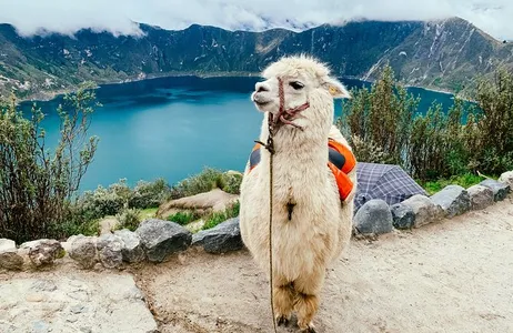 Quito Tour Excursão de dia inteiro à Lagoa Quilotoa