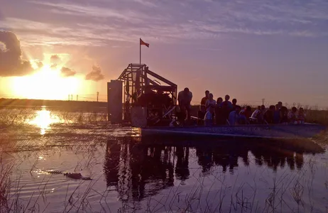 Miami Tour Recorrido nocturno por los Everglades - Parque Recreativo Sawgrass
