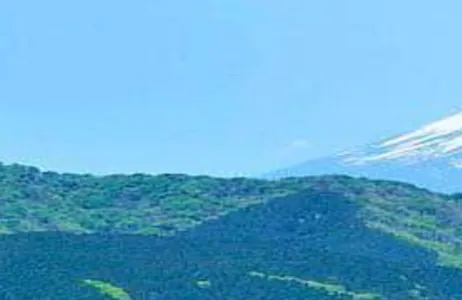 Tokio Tour Excursão de ônibus de 1 dia ao Monte Fuji e Hakone (passeio de ônibus)