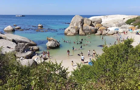 Cape Town Tour Nadando com pinguins em encontro próximo e cabo da boa esperança
