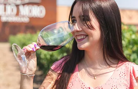 Madri Tour The Secrets of Wine - Visit to the Winery in Ribera del Duero with Flexible Dates