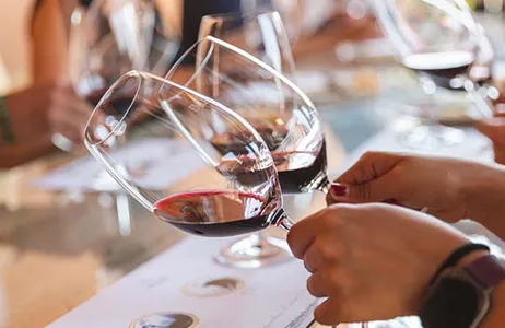 Madri Tour Ribera del Duero Wines and Tapas: A Culinary Adventure with Flexible Reservations