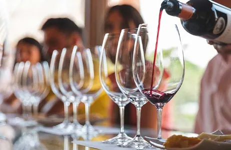 Madri Tour Gastronomic Experience in a Wine Cellar in Ribera del Duero with Flexible Dates
