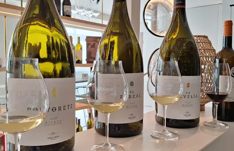 Santiago de Compostela Tour Desde Santiago de Compostela: Essência de El Bierzo, Visita a Adega e Degustação de Vinho em El Bierzo com Flexibilidade de Datas