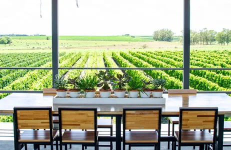 Colonia del Sacramento Tour Vinícola Fripp com visita guiada, almoço e degustação de vinhos