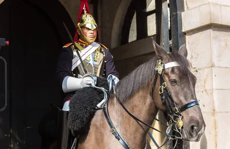 London Tour Household Cavalry Museum