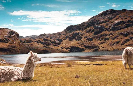 Cuenca Tour Tour to Cajas National Park
