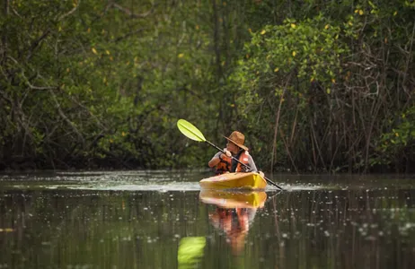 David Tour Kayaking through the mangroves and canals of Punta de Tierra, Chiriquí