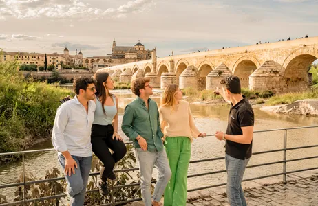 Seville Tour Passeio de um dia de Sevilha a Córdoba com Mesquita-Catedral - Excursão Premium para Grupos Pequenos