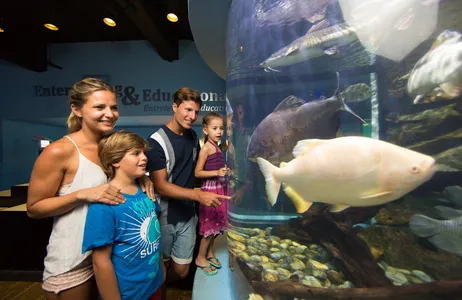 Playa del Carmen Tour Cancun Interactive Aquarium Ticket