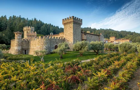 San Francisco Tour Tour exclusivo de vinhos e gastronomia no Vale de Napa (grupo pequeno)