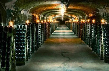 Montevideo Tour Bodega Santa Rosa - The largest underground wine cellar in South America