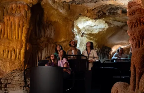 Marseille Tour Caverna Cosquer - Entrada com Tour guiado por áudio