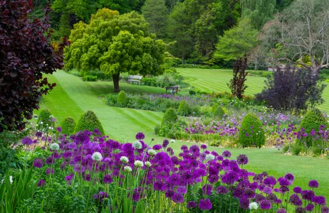 York Tour RHS Harlow Carr Garden