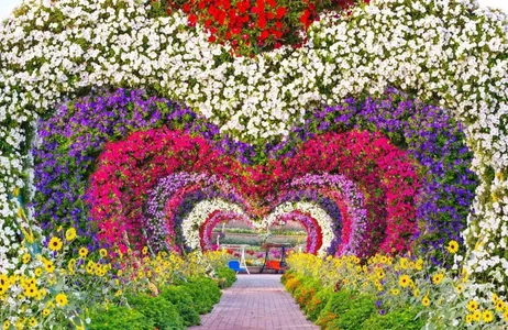 Dubai Ticket Dubai Miracle Garden Tickets