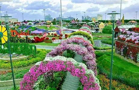Dubai Tour Dubai Miracle Garden com traslados privativos de ida e volta