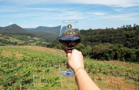 Canela Tour Jolimont Winery - Ticket with Special Gift!