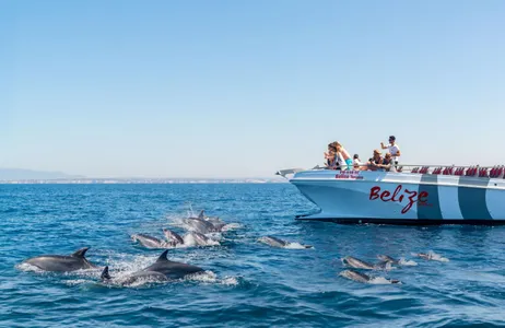 Albufeira Ticket Dolphins and Caves - Catamaran