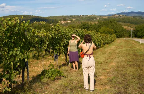 Florence Tour Tour Semi-Privado de Vinhos Chianti com Vinícolas e Degustações
