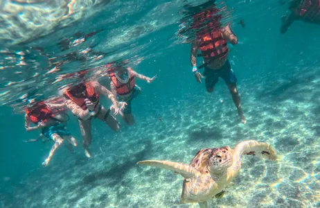 Cancún Tour Early access to Tulum ruins, swimming with turtles, snorkeling in cenotes and caves
