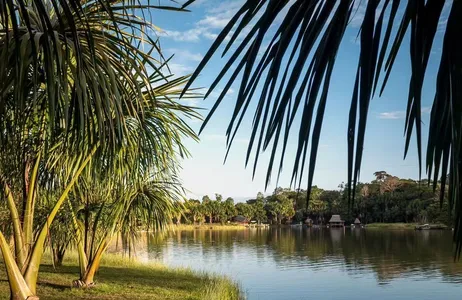 Tingo María Tour Paseo en barco por la Lagoa Milagrosa: una experiencia idílica en la naturaleza