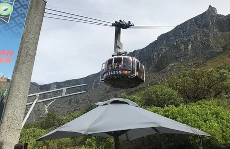 Cape Town Tour Table Mountain, Penguins, and Cape Point Small Group Tour