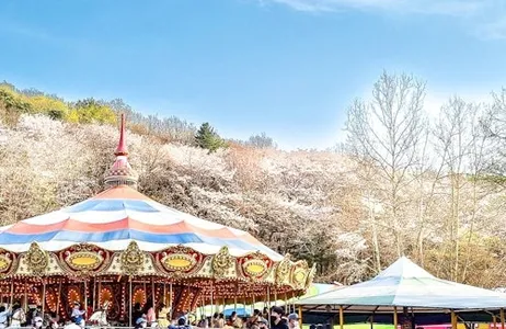 Seúl Ticket Seoulland: bilhete de entrada + Passeio de teleférico + Jardim Zoológico de Seul