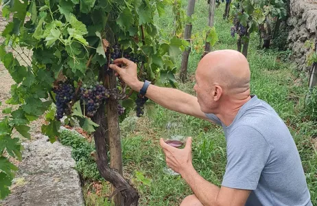 Catania Tour Visita a uma vinícola no Monte Etna, na Sicília