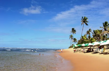 Mata de São João Tour Praia do Forte (Bate e volta)