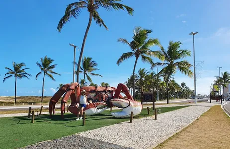 Aracaju Tour City Tour en Aracaju (Para hoteles en la costa)