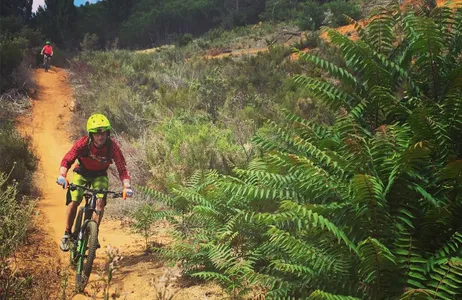 Stellenbosch Tour Passeio de bicicleta de Stellenbosch a Boschendal