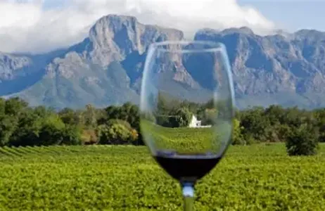 Cape Town Tour Tour pelas Vinícolas do Cabo