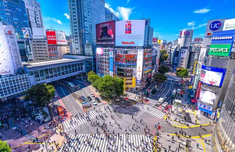 Tokyo Tour City tour - Shibuya, Harajuku, Santuário Meiji Jingu e Shinjuku