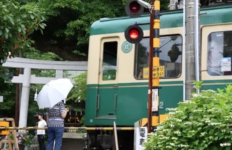 Tokio Ticket Hakone, Fuji-Hakone y Hakone-Kamakura: Pase de transporte