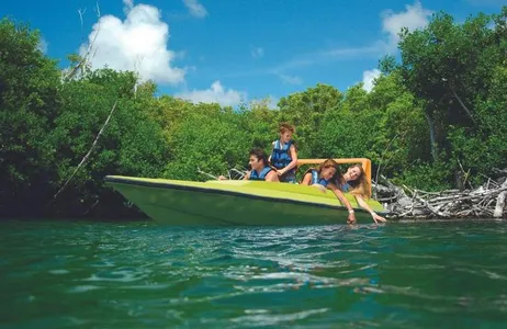 Jungle Tour Adventure Cancún
