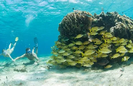 Snorkeling em Cozumel - México