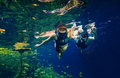 Cancún Tour Xenotes Cancun