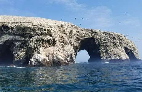 Lima Tour Maravilla de las Islas Ballestas y el Oasis de Huacachina 