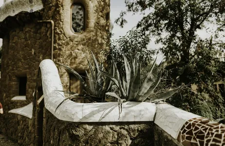 Barcelona Tour Guided tour of Park Güell 