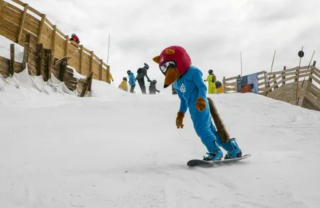 Santiago Tour Dia de esqui em Valle Nevado