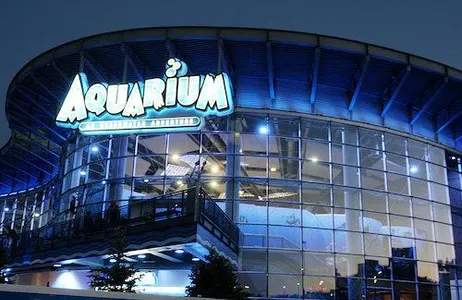 Denver Ticket Downtown Aquarium Denver: ingresso