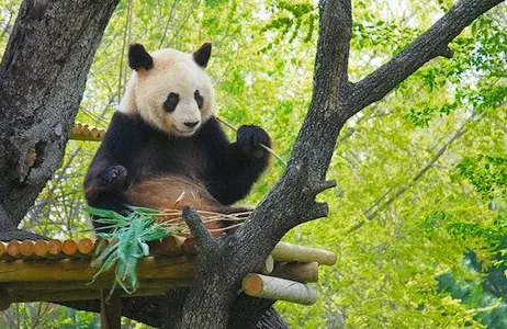 Madrid Ticket Zoológico Aquário de Madri: sem filas