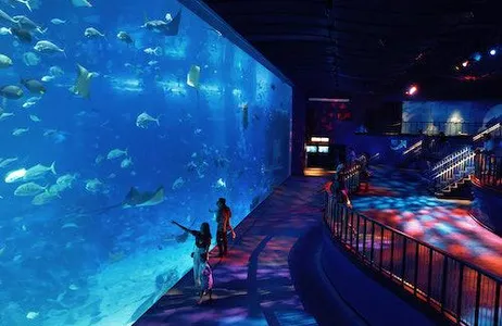 Singapore Ticket SEA Aquarium™: ingresso