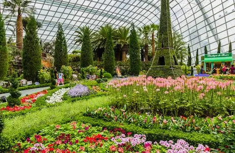 Singapore Ticket Gardens by the Bay: entrada direta (Cloud Forest &amp; Flower Dome)