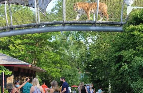 Philadelphia Ticket Zoológico da Filadélfia: ingresso geral