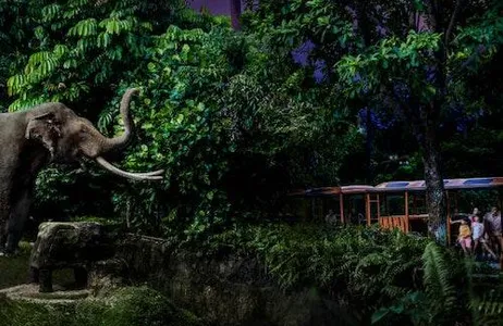 Singapore Ticket Safari noturno em Cingapura com passeio de bonde